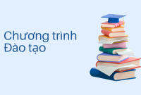 Chương trình đào tạo, bồi dưỡng và cấp chứng chỉ Máy trưởng tàu cá