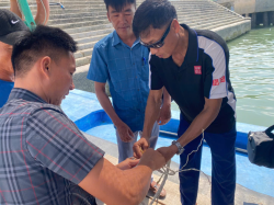 Hình ảnh Quảng Ninh