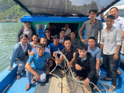 Hình ảnh Quảng Ninh