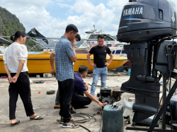 Hình ảnh Quảng Ninh