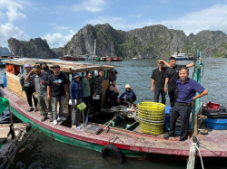 Hình ảnh Quảng Ninh