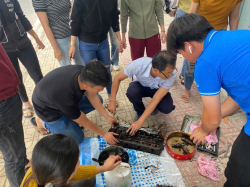 Hình ảnh Đồng Tháp