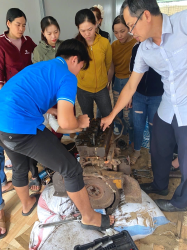 Hình ảnh Đồng Tháp