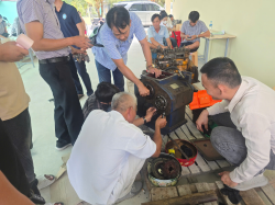 Hình ảnh Đồng Tháp