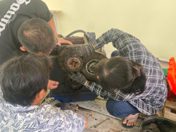 Hình ảnh Đồng Tháp