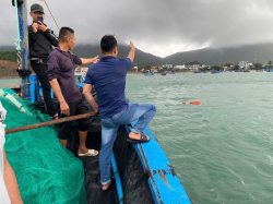 Hình ảnh Khánh Hòa