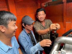 Hình ảnh Cà Mau